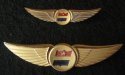 Flight Attendant Insignia Wings