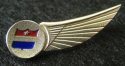 Flight Attendant Insignia Wings