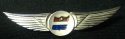 Flight Attendant Insignia Wings