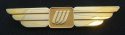 Flight Attendant Insignia Wings