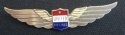 Flight Attendant Insignia Wings