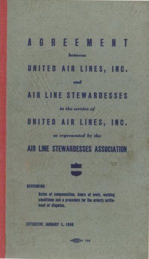 From Stewardess to Flight Attendant